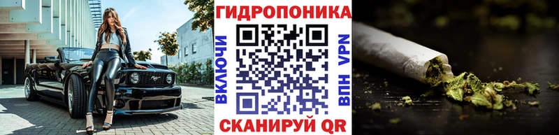 Что такое Краснодар ГАШИШ  гидра зеркало  Меф  Канабис  Псилоцибиновые грибы 
