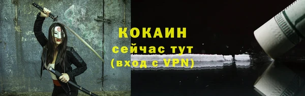 спайс Няндома