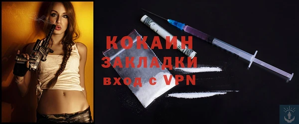 спайс Няндома