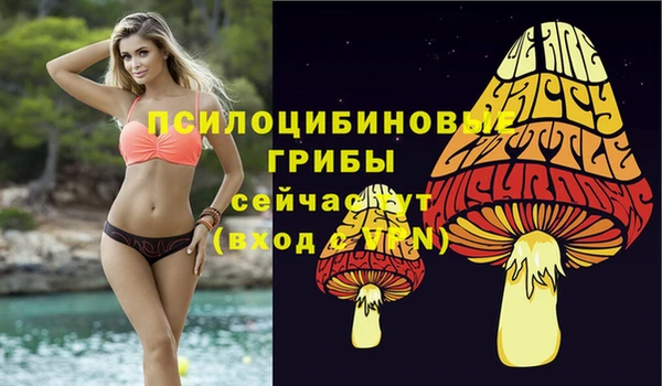 прущие крисы Нязепетровск