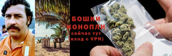 ешки Осинники