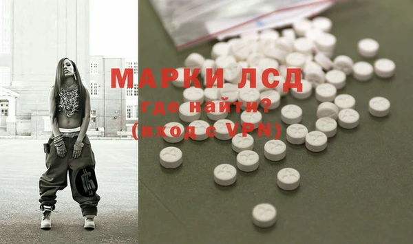 спайс Няндома