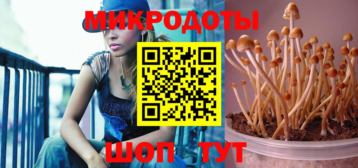 Псилоцибиновые грибы Psilocybe  Вход с VPN  Краснодар  Псилоцибиновые грибы MAGIC MUSHROOMS 
